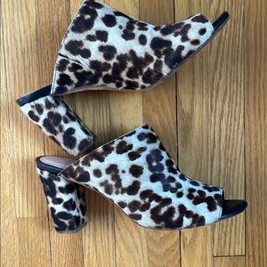 Charlotte Stone Leopard Print Women's Mules